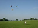 RC Sailplane at the Park Wallpaper