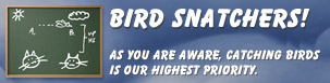 Play Bird Snatchers!